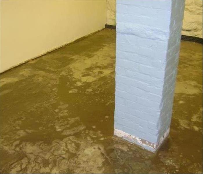 Basement with brick support with standing water