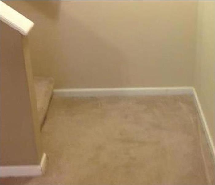 Stairwell with beige carpet and white baseboards
