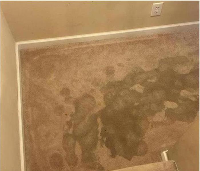 Beige carpet with water damage
