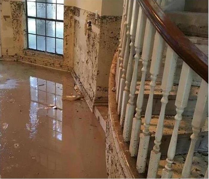 Stairway and room with standing water and mold damage