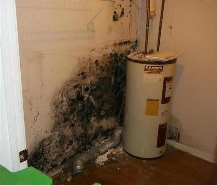 Water heater tank with mold damage on a wall behind it